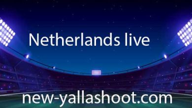 صورة مشاهدة مباراة هولندا اليوم مباريات اليوم بث مباشر Netherlands live